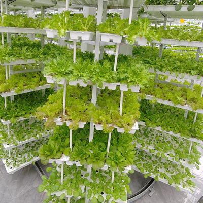 Agricoltura verticale pianta appesa Agricoltura idroponica intelligente