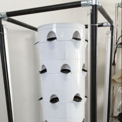 Sistema di coltivazione idroponica verticale per verdure e fragole con scaffale