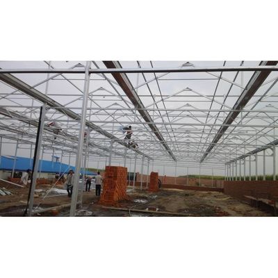 Agricoltura mono/doppio strato Hidroponica in serra con pellicola di plastica