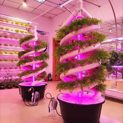 Sistema di coltivazione idroponica a doppia elica per giardini interni