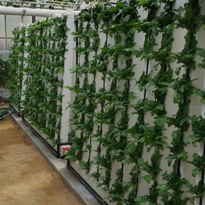 Sistema di coltivazione verticale di fragole e fiori