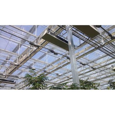 Serre per la produzione agricola ad alta efficienza Serra con pellicola di plastica
