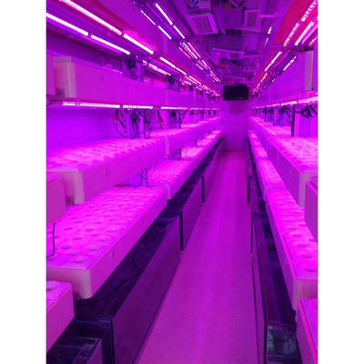 Container Farm Sistema di coltivazione idroponica Serre agricole multi-span