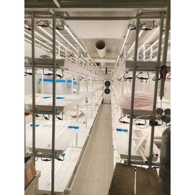 Container Farm Sistema di coltivazione idroponica Serre agricole multi-span