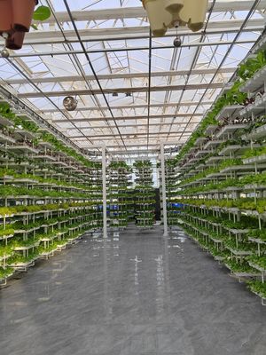 Agricoltura verticale pianta appesa Agricoltura idroponica intelligente
