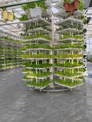 Agricoltura verticale pianta appesa Agricoltura idroponica intelligente