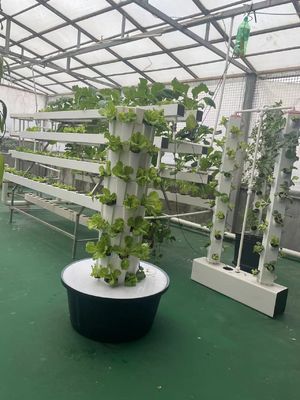 7P7 Torri di coltivazione idroponica Sistema idroponico per giardini verticali