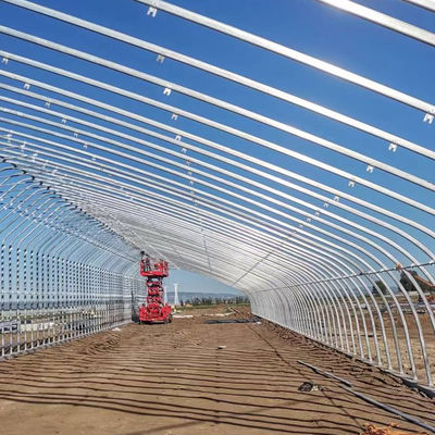 Serra solare Serra di plastica per la coltivazione di ortaggi Acciaio galvanizzato
