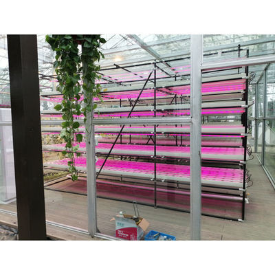 Agricoltura in serra Iot Fabbrica verticale per l'agricoltura moderna