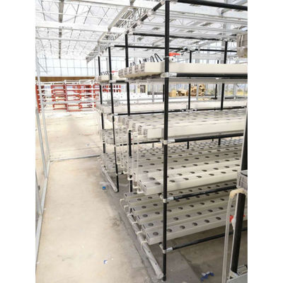 Agricoltura in serra Iot Fabbrica verticale per l'agricoltura moderna