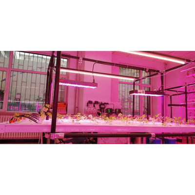 Pianta agricola verticale NFT giardino idroponico intelligente bianco 110V/220VAC