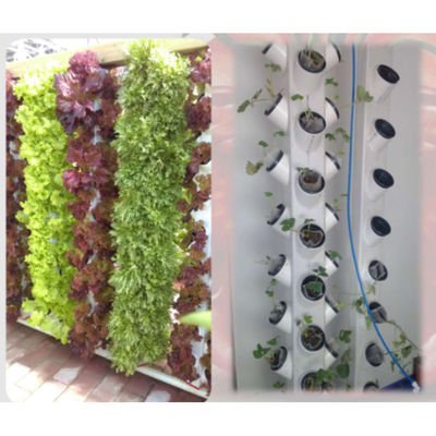 Fornitura di alta qualità casa giardino kit sistema di coltivazione Aeroponica Hydroponic Growtower in vendita