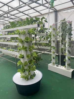 Sistema di coltivazione idroponica Torre per verdure Fragole Balcone Coltivazione senza terreno