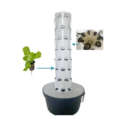 Balcone Torri di coltivazione aeroponici Hidroponica Sistemi di giardino verticali Sistemi idroponici interni Tipologia di piantagione di ananas Verticale