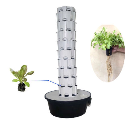 Indoor Outdoor Hydroponic Ananas Tower Grow Systems Giardino Agricoltura Cultura senza suolo Verticale Hydroponic Grow Tower