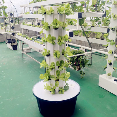 Indoor Outdoor Hydroponic Ananas Tower Grow Systems Giardino Agricoltura Cultura senza suolo Verticale Hydroponic Grow Tower