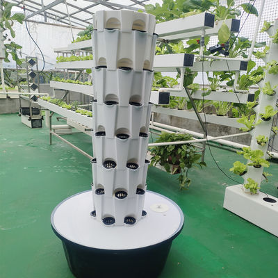 Indoor Outdoor Hydroponic Ananas Tower Grow Systems Giardino Agricoltura Cultura senza suolo Verticale Hydroponic Grow Tower