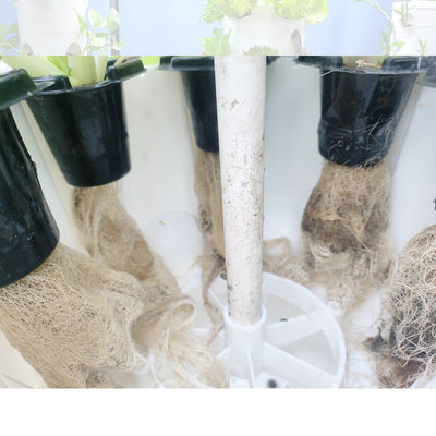 Indoor Outdoor Hydroponic Ananas Tower Grow Systems Giardino Agricoltura Cultura senza suolo Verticale Hydroponic Grow Tower