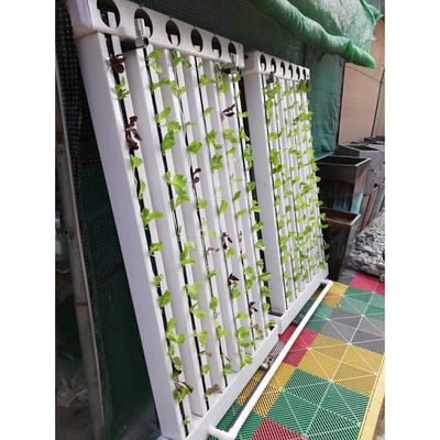 C-Growart Farm Sistema di coltivazione idroponica Coltivazione senza suolo per la crescita delle piante