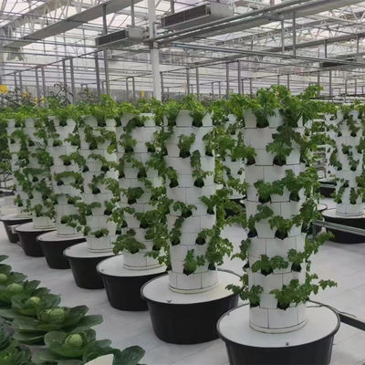 Sistema di coltivazione di piante per giardino completamente automatico per piccole piante idroponiche verticale a casa per uso commerciale