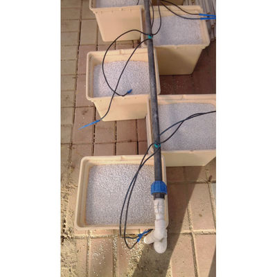 Plastico idroponica Bottile olandese Bato Bottile sistemi di coltivazione Agricoltura