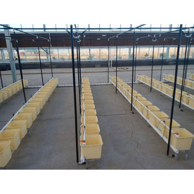 Plastico idroponica Bottile olandese Bato Bottile sistemi di coltivazione Agricoltura