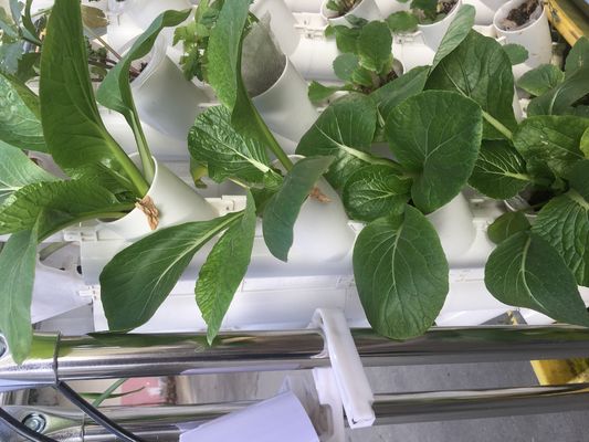 Coltivazione senza suolo o coltivazione su substrato Torre di piantagione per il giardinaggio