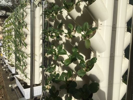 Coltivazione senza suolo o coltivazione su substrato Torre di piantagione per il giardinaggio