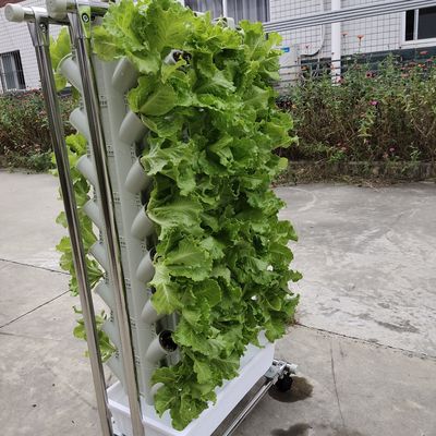 Coltivazione senza suolo o coltivazione su substrato Torre di piantagione per il giardinaggio