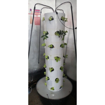 Sistema di coltivazione idroponica per verdure e fragole con luce a LED