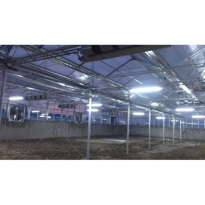 Agricoltura mono/doppio strato Hidroponica in serra con pellicola di plastica