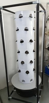 Sistema di coltivazione idroponica verticale per verdure e fragole con scaffale