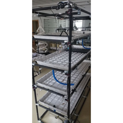 Tavole di inondazione per semina verticale professionali