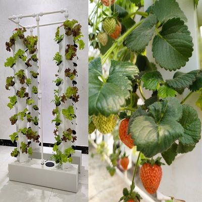 Intelligente idroponica giardino verticale piantagione di erbe NFT sistema di coltivazione