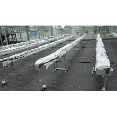 Equipaggiamenti per la coltivazione idroponica di PVC e di Cocopeat di qualità alimentare