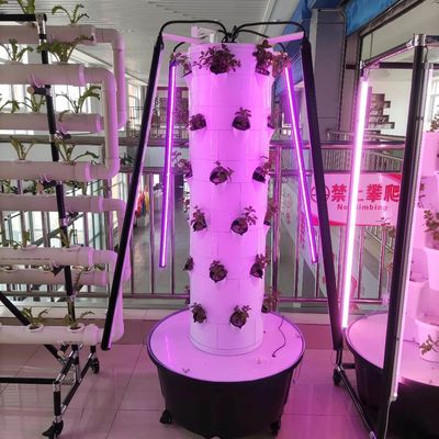 Nuovo sistema di coltivazione idroponica verticale per verdure e fragole con LED