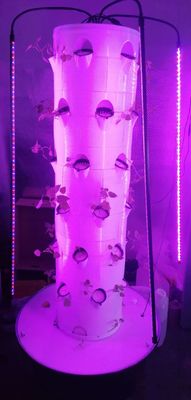 Nuovo sistema di coltivazione idroponica verticale per verdure e fragole con LED