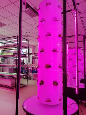 Nuovo sistema di coltivazione idroponica verticale per verdure e fragole con LED