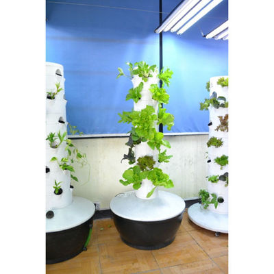 Sistema idroponico agricola Torre aeroponica per fragole e verdure a foglia rotante