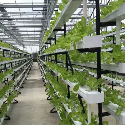 sistema di coltivazione idroponica commerciale NFT in serra canale idroponico NFT