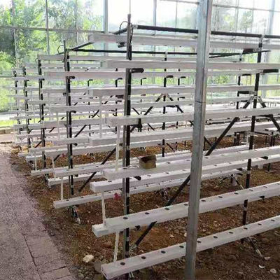 sistema di coltivazione idroponica commerciale NFT in serra canale idroponico NFT