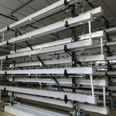 sistema di coltivazione idroponica commerciale NFT in serra canale idroponico NFT
