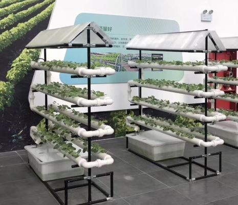 sistema di coltivazione idroponica commerciale NFT in serra canale idroponico NFT