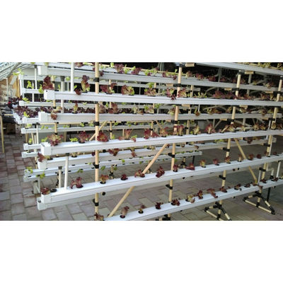 Nuovo arrivo Sistema di serra NFT idroponica con kit di coltivazione di tubi in PVC Indoor e giardino