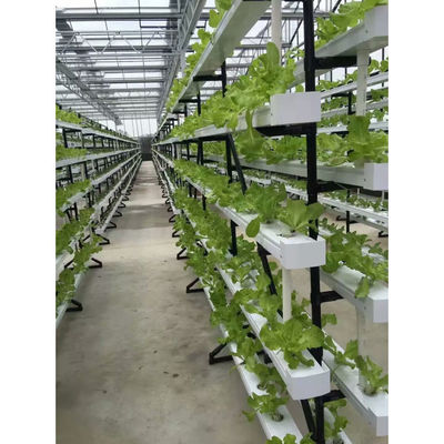Nuovo arrivo Sistema di serra NFT idroponica con kit di coltivazione di tubi in PVC Indoor e giardino