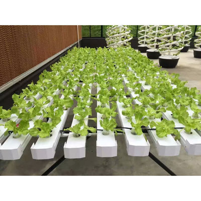 Nuovo arrivo Sistema di serra NFT idroponica con kit di coltivazione di tubi in PVC Indoor e giardino