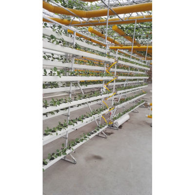 Nuovo arrivo Sistema di serra NFT idroponica con kit di coltivazione di tubi in PVC Indoor e giardino