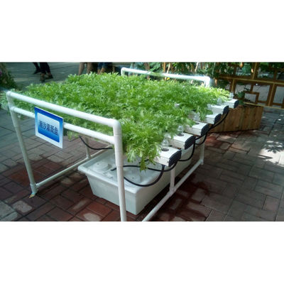 Nuovo arrivo Sistema di serra NFT idroponica con kit di coltivazione di tubi in PVC Indoor e giardino