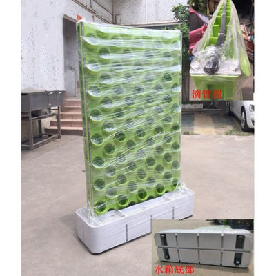 Produttori Cina all'ingrosso giardino esterno verticale impianto di irrigazione verde parete in vendita