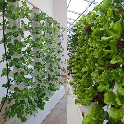 Sistema di piantagione idroponica a colonna verticale perfetta torre di coltivazione aeroponica